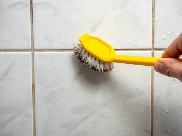 Best Insurance-Related Mold Remediation in Gold River, CA