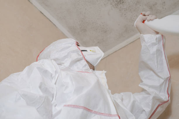 Best Mold Testing and Inspection Services in Gold River, CA